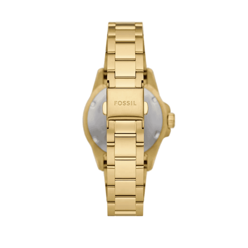  Shop Authentic Fossil Blue Dive Three Hand White Dial Gold Steel Strap Watch For Women - ES5350 - Luxxuri