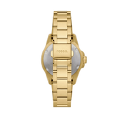  Shop Authentic Fossil Blue Dive Three Hand White Dial Gold Steel Strap Watch For Women - ES5350 - Luxxuri