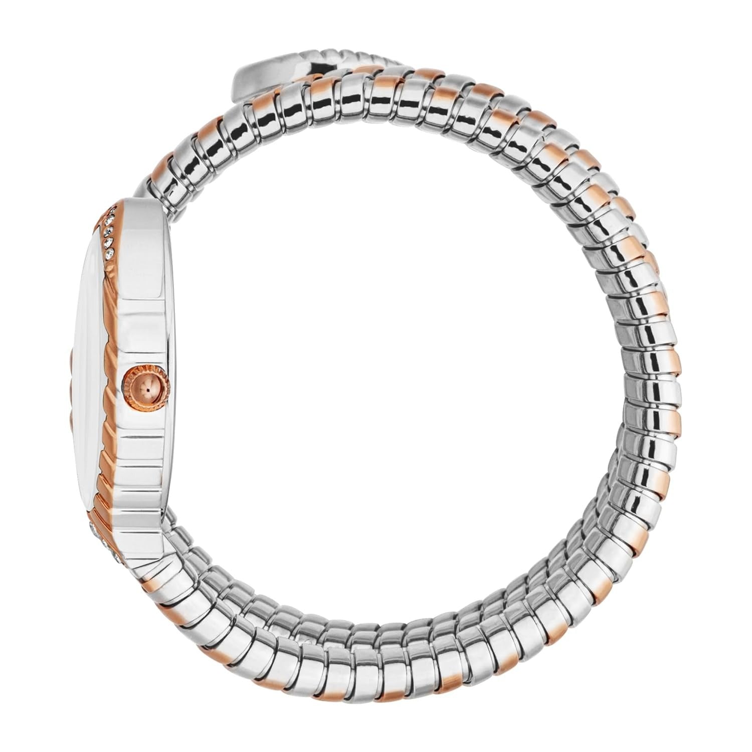 Just Cavalli Specchio Silver Dial Two Tone Steel Strap Watch for Women - JC1L323M0065