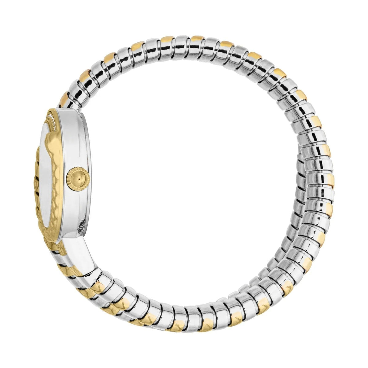 Just Cavalli Enchanting Silver Dial Two Tone Steel Strap Watch for Women - JC1L301M0065