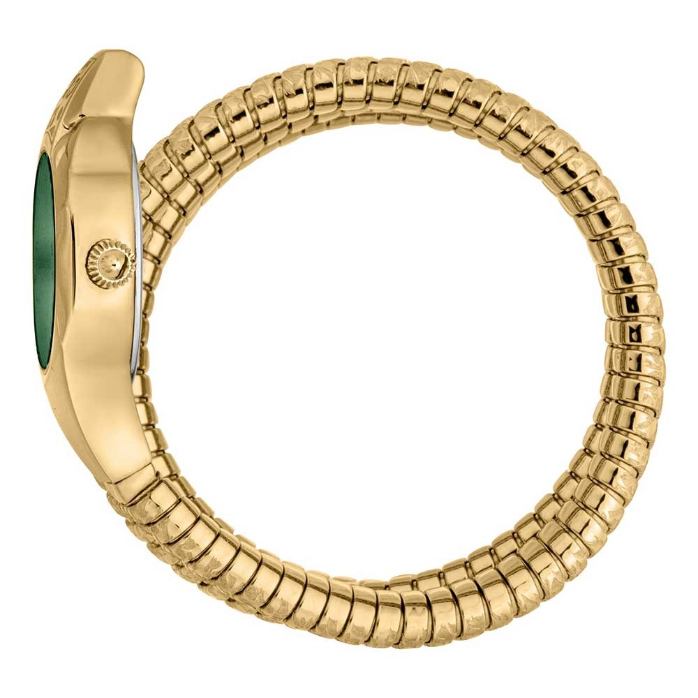 Just Cavalli Glam Evo 4 Green Dial Gold Steel Strap Watch for Women - JC1L229M0035