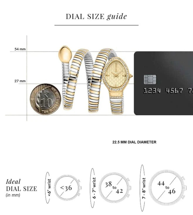 Just Cavalli Carezza Gold Dial Two Tone Steel Strap Watch for Women - JC1L372M0055