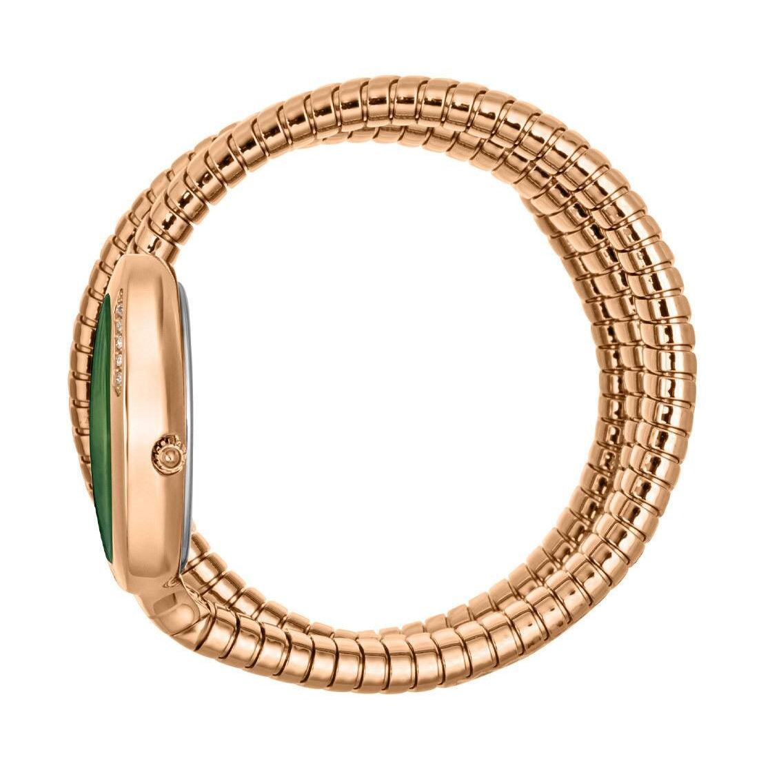 Just Cavalli Glam Evo 5 Green Dial Rose Gold Steel Strap Watch for Women - JC1L228M0055