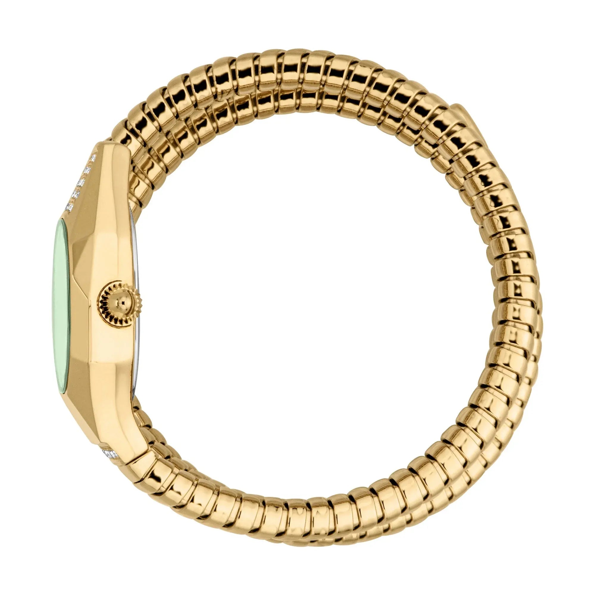 Just Cavalli Lunara Green Dial Gold Steel Strap Watch for Women - JC1L397M0045