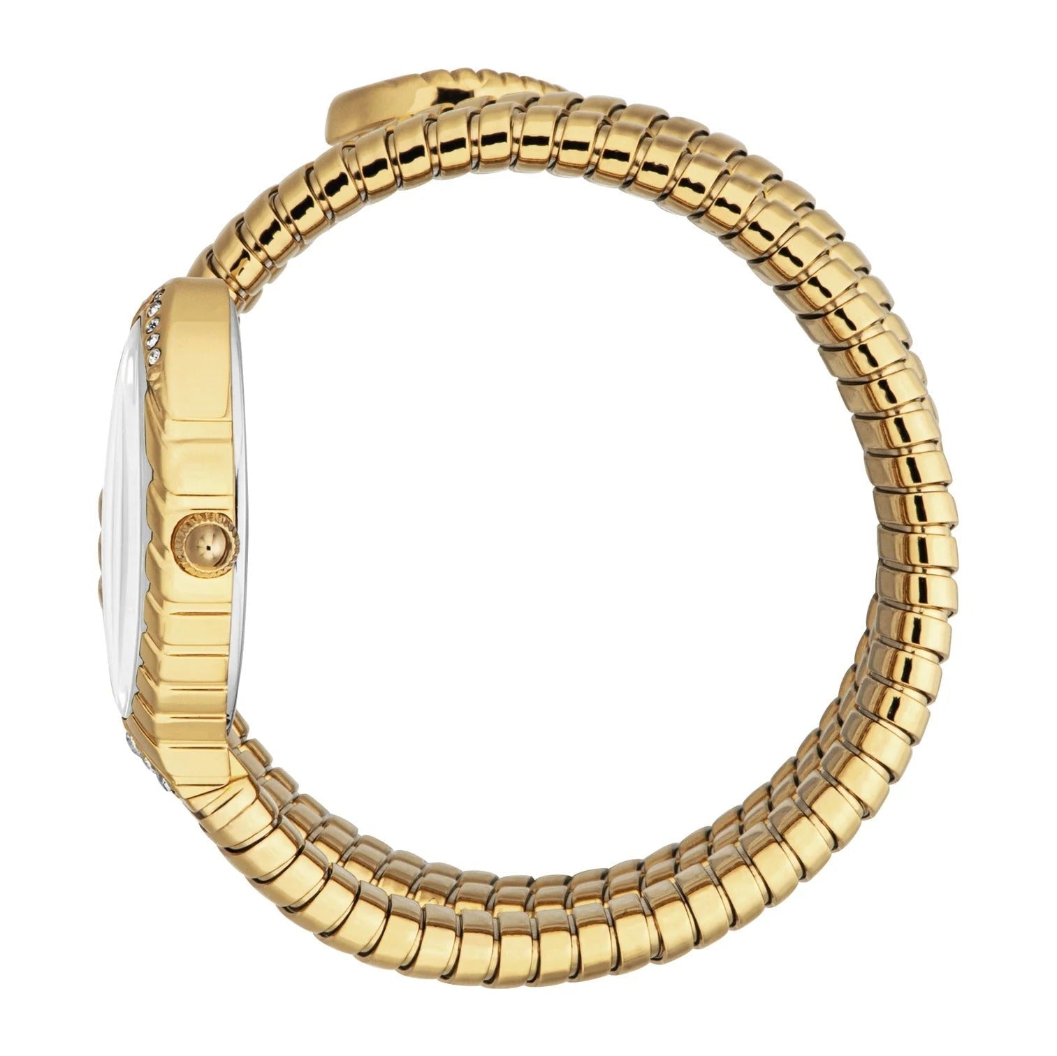 Just Cavalli Specchio Silver Dial Gold Steel Strap Watch for Women - JC1L323M0025