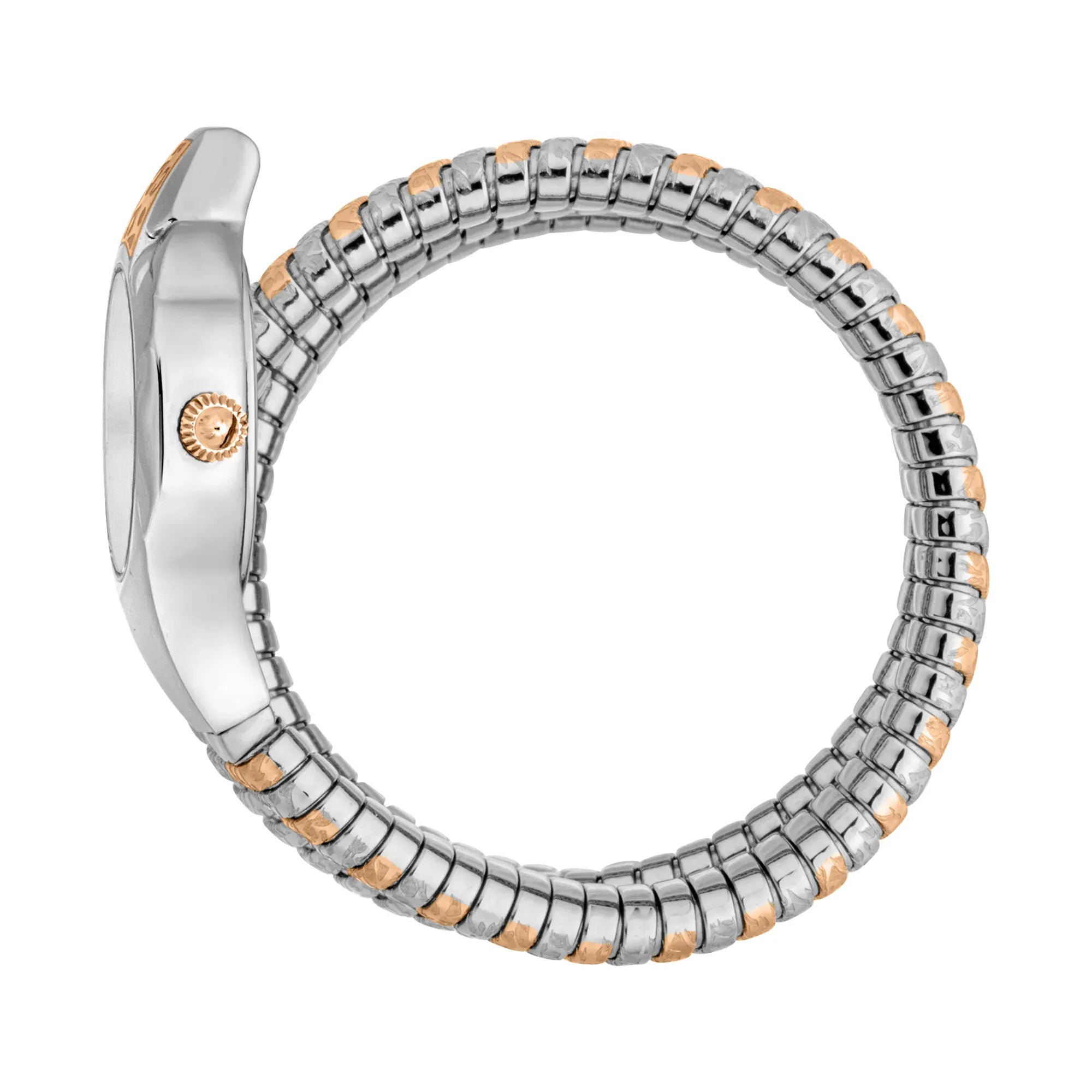 Just Cavalli Ravenna Silver Dial Two Tone Steel Strap Watch for Women - JC1L271M0065