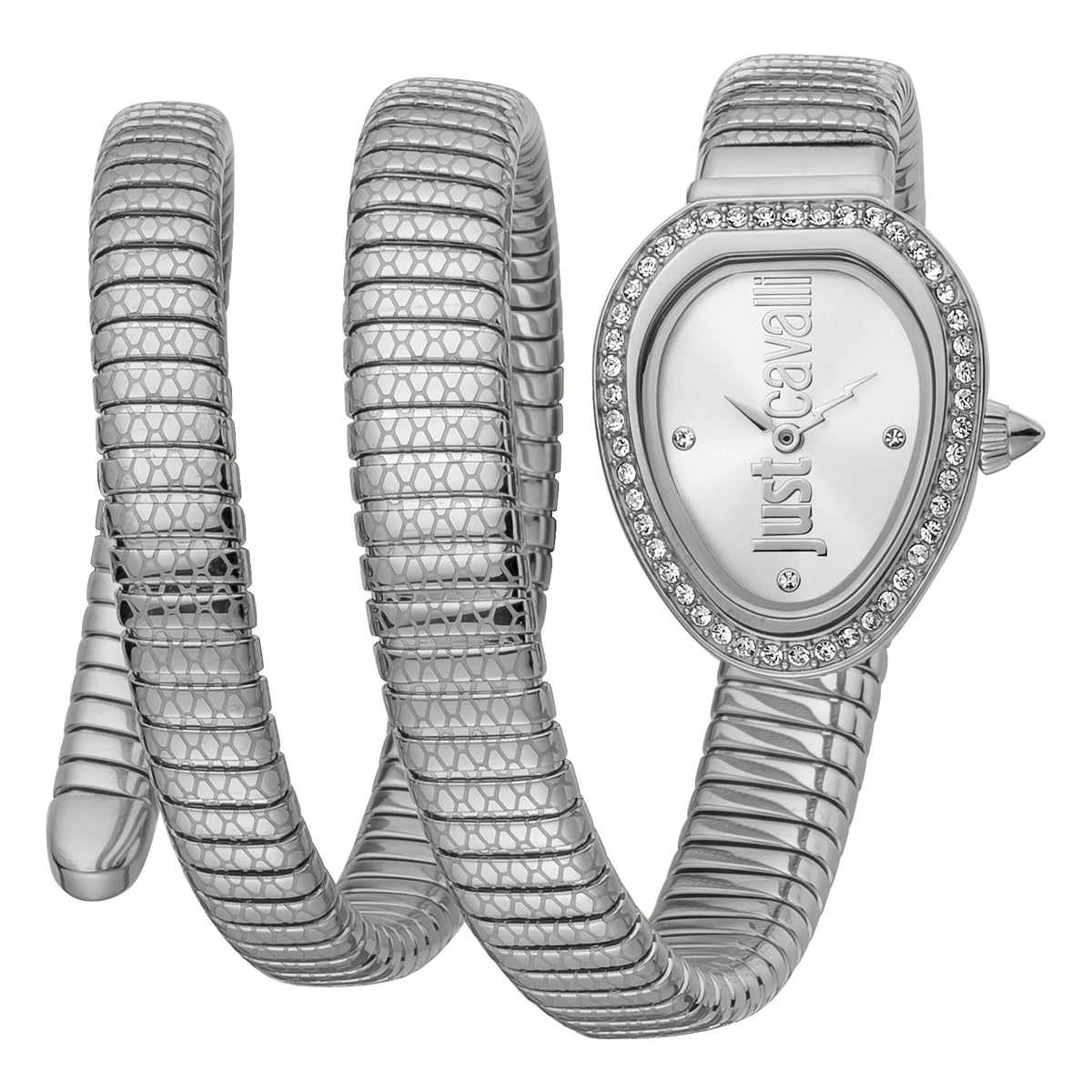 Just Cavalli Doppio Silver Dial Silver Steel Strap Watch for Women - JC1L163M0015