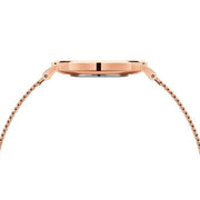  Shop Authentic Daniel Wellington Petite Amber Brown Dial Rose Gold Mesh Strap Watch for Women - DW00100478 - Luxxuri