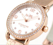 Coach Delancey Silver Dial Rose Gold Steel Strap Watch for Women - 14502355