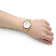  Shop Authentic Daniel Wellington Classic Petite Evergold White Dial Gold Mesh Bracelet Watch For Women - DW00100350 - Luxxuri