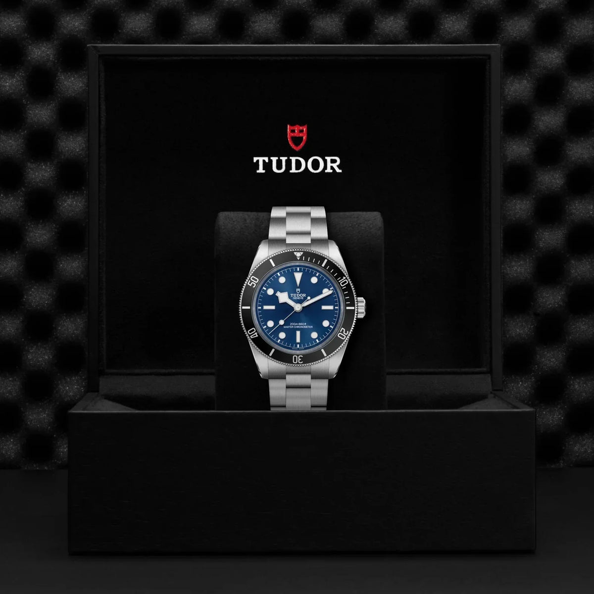 Tudor Black Bay 54 Blue Dial Silver Steel Strap Watch for Men - M7943A1A0NU-0001