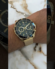  Shop Authentic Tommy Hilfiger Jordan Chronograph Green Dial Gold Mesh Strap Watch For Men - 1792093 - Luxxuri