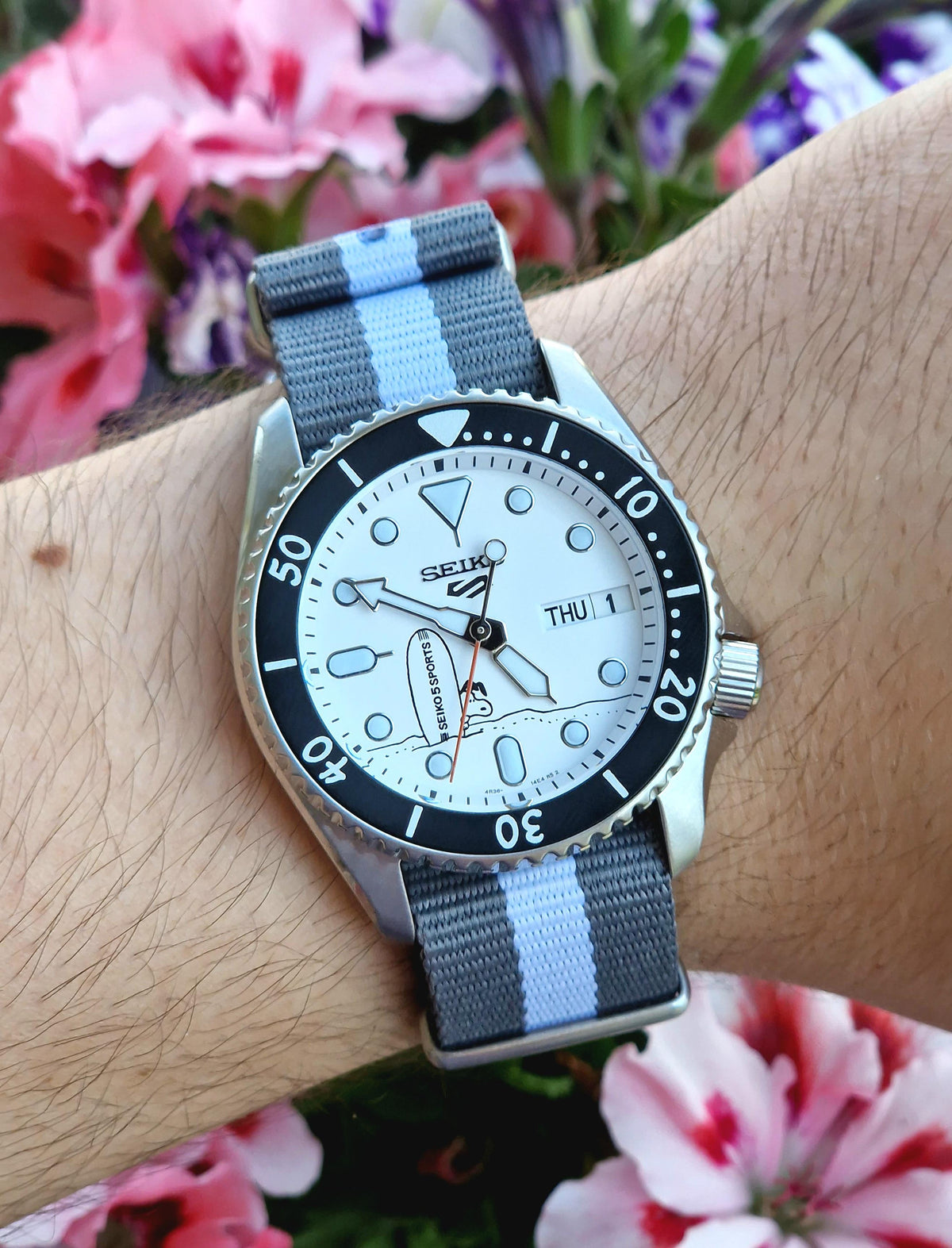  Shop Authentic Seiko 5 Sports x Peanuts Surfboard Snoopy Limited Edition White Dial Two Tone NATO Strap Watch For Men - SRPK25K1 - Luxxuri