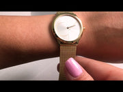  Shop Authentic Calvin Klein Minimal Silver Dial Gold Mesh Bracelet Watch for Women - K3M22526 - Luxxuri