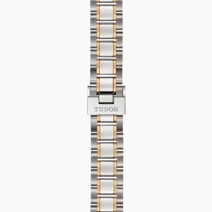  Shop Authentic Tudor Style Automatic Silver Dial Two Tone Steel Strap Watch for Men - M12713-0003 - Luxxuri