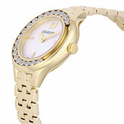  Shop Authentic Swarovski Lovely Crystals White Dial Gold Steel Strap Watch for Women - 5242895 - Luxxuri